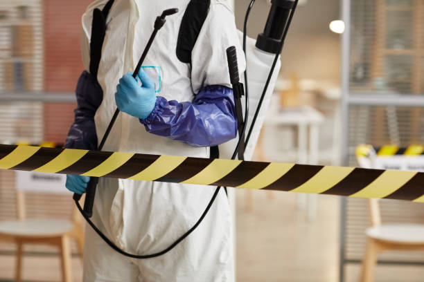 Professional Odor Removal technician working in Burlington, KY