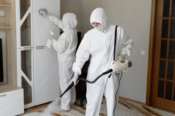 24/7 Emergency Odor Removal experts in Burlington, KY